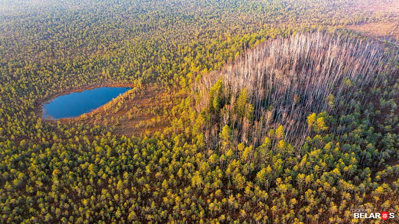 2. Заозерье.jpg