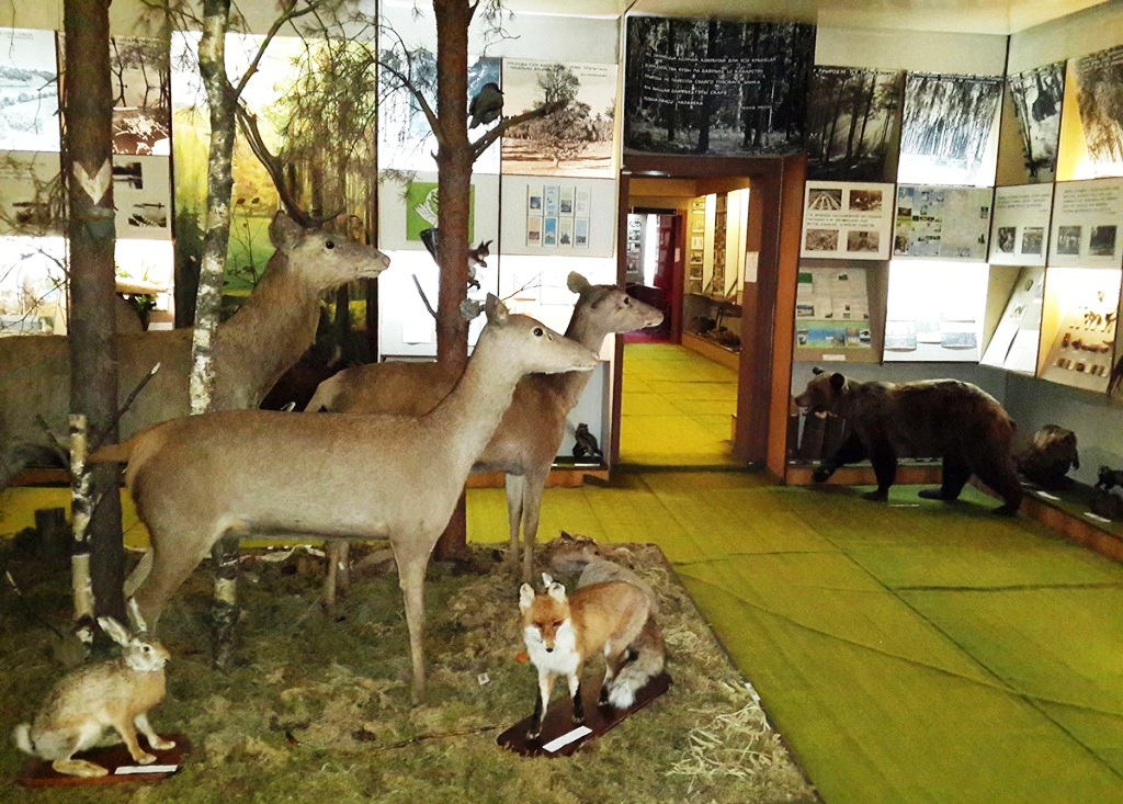 3. Чериковский музей.jpg