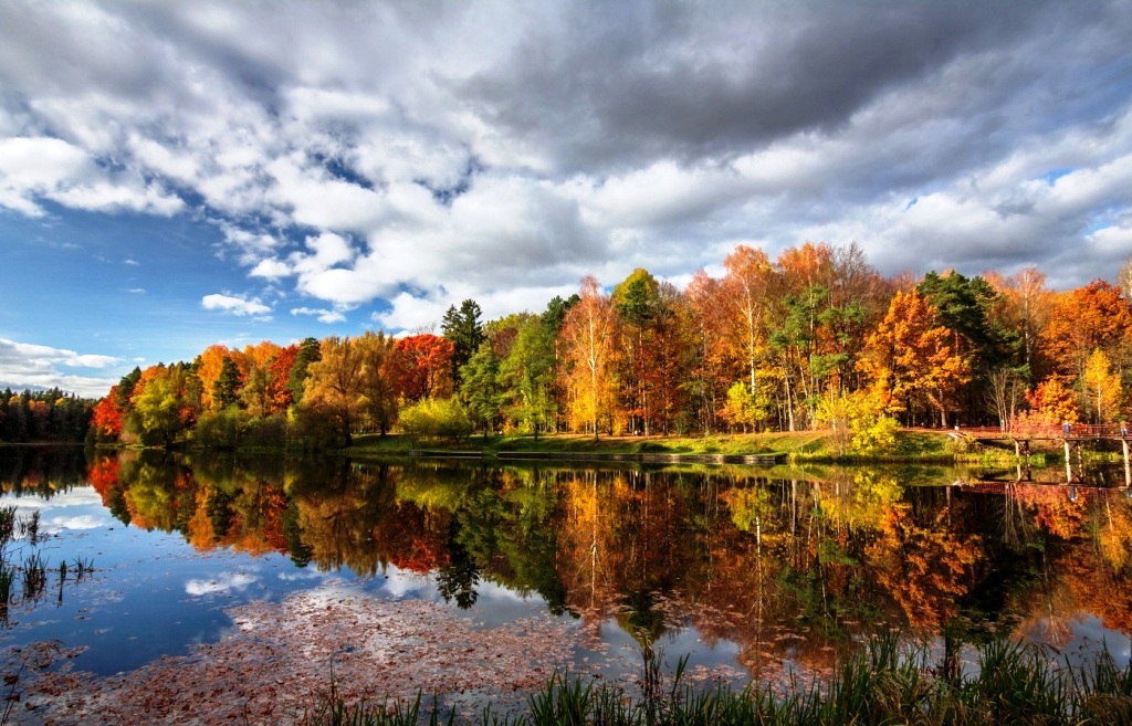 2. Борис Нешатаев.jpg